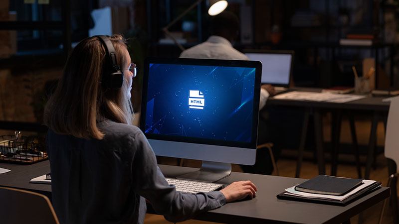 Web Development Service